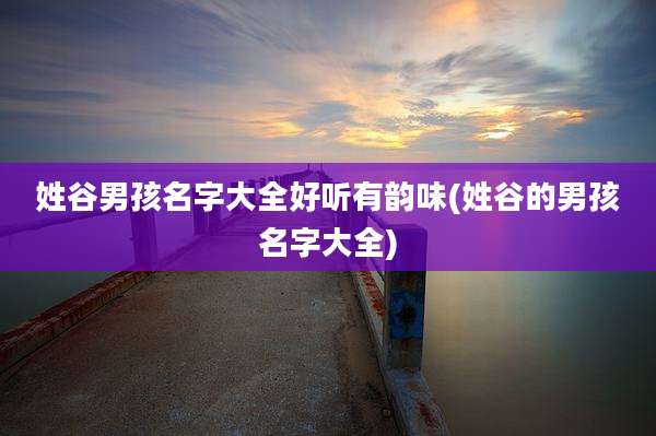 姓谷男孩名字大全好听有韵味(姓谷的男孩名字大全)