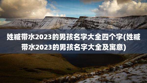 姓臧带水2023的男孩名字大全四个字(姓臧带水2023的男孩名字大全及寓意)