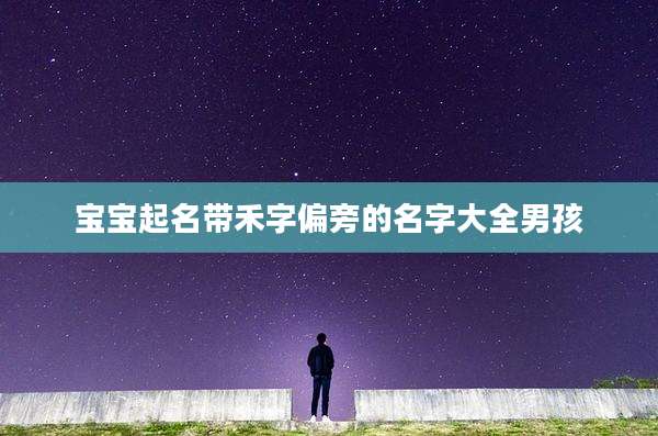 宝宝起名带禾字偏旁的名字大全男孩