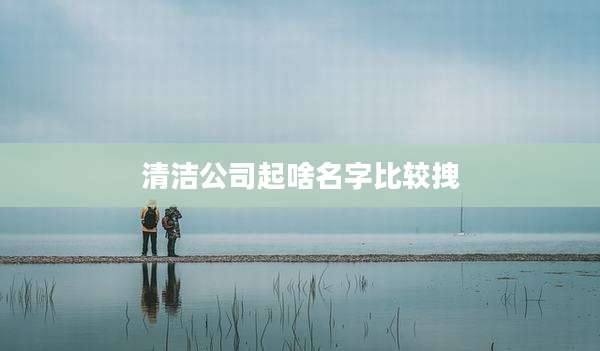 清洁公司起啥名字比较拽