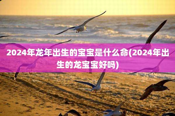 2024年龙年出生的宝宝是什么命(2024年出生的龙宝宝好吗)