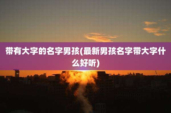 带有大字的名字男孩(最新男孩名字带大字什么好听)
