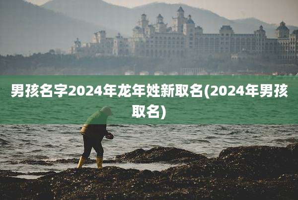 男孩名字2024年龙年姓新取名(2024年男孩取名)
