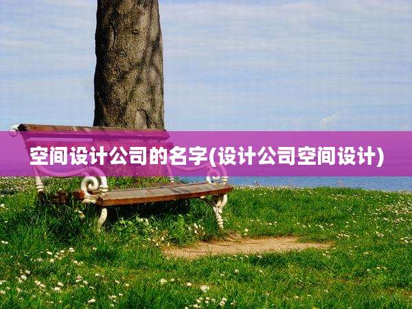 空间设计公司的名字(设计公司空间设计)