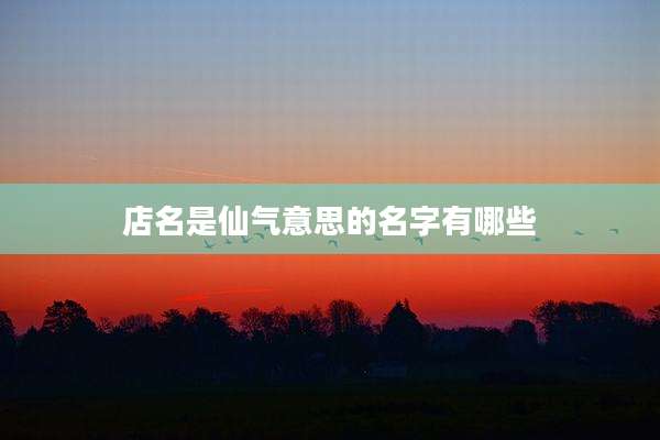 店名是仙气意思的名字有哪些