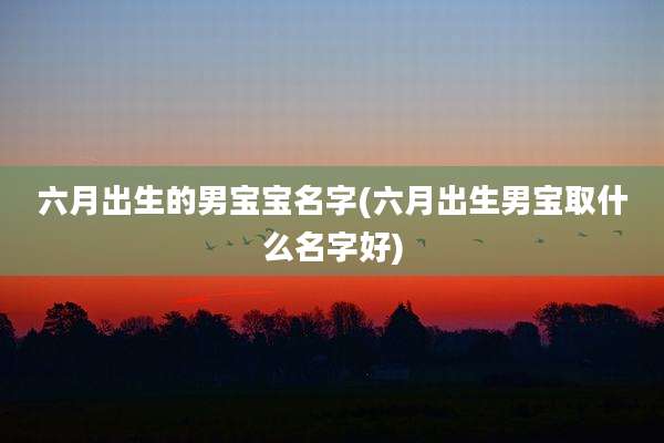 六月出生的男宝宝名字(六月出生男宝取什么名字好)