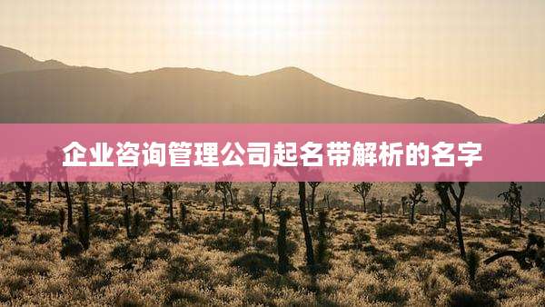 企业咨询管理公司起名带解析的名字