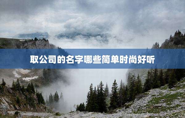 取公司的名字哪些简单时尚好听