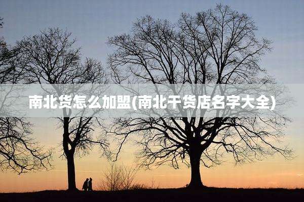 南北货怎么加盟(南北干货店名字大全)