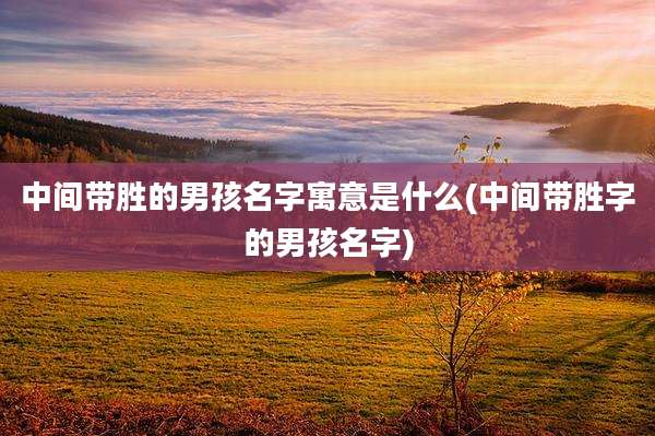 中间带胜的男孩名字寓意是什么(中间带胜字的男孩名字)