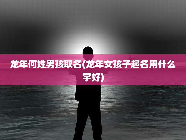 龙年何姓男孩取名(龙年女孩子起名用什么字好)