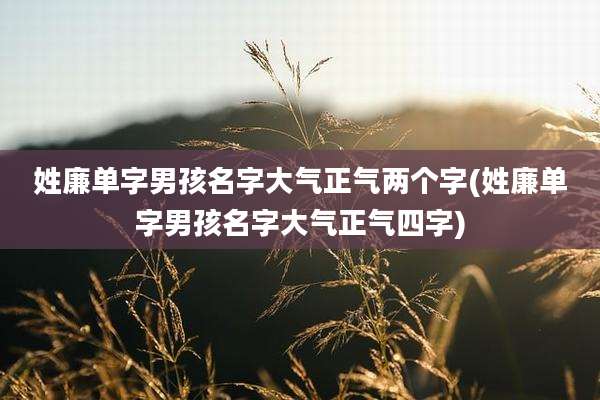 姓廉单字男孩名字大气正气两个字(姓廉单字男孩名字大气正气四字)