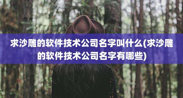 求沙雕的软件技术公司名字叫什么(求沙雕的软件技术公司名字有哪些)