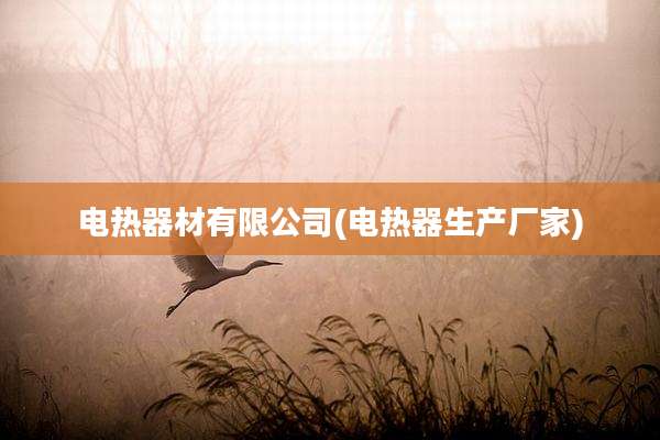 电热器材有限公司(电热器生产厂家)