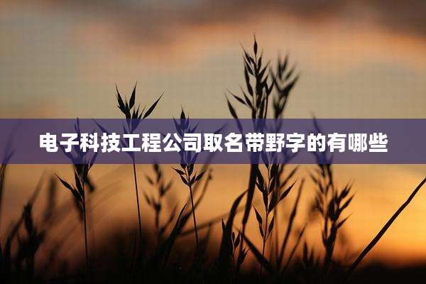 电子科技工程公司取名带野字的有哪些