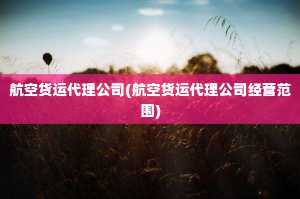 航空货运代理公司(航空货运代理公司经营范围)