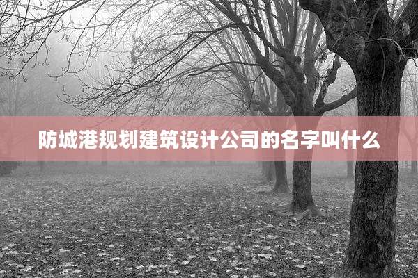 防城港规划建筑设计公司的名字叫什么