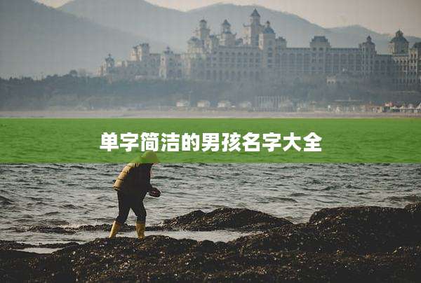 单字简洁的男孩名字大全