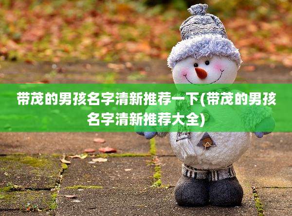 带茂的男孩名字清新推荐一下(带茂的男孩名字清新推荐大全)