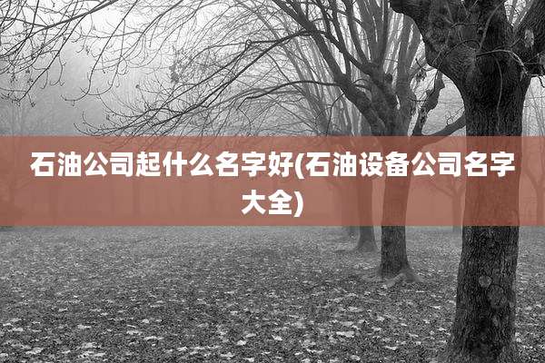 石油公司起什么名字好(石油设备公司名字大全)