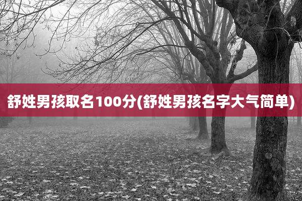 舒姓男孩取名100分(舒姓男孩名字大气简单)