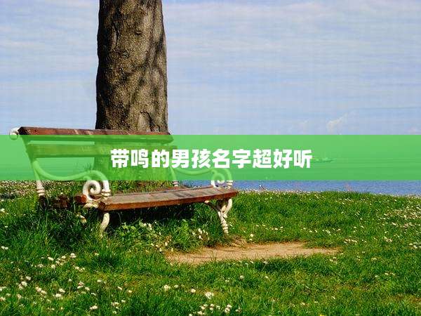 带鸣的男孩名字超好听