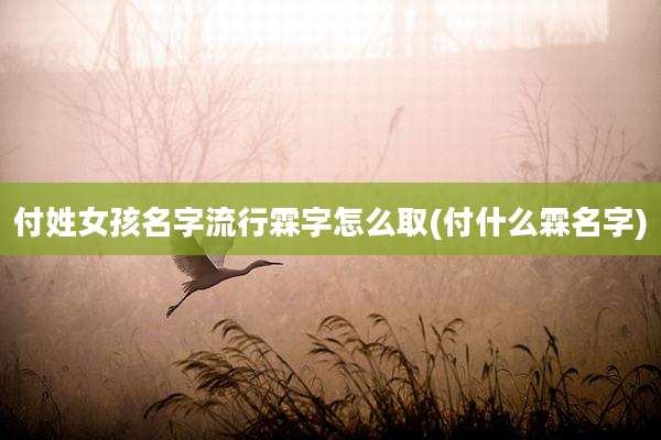 付姓女孩名字流行霖字怎么取(付什么霖名字)
