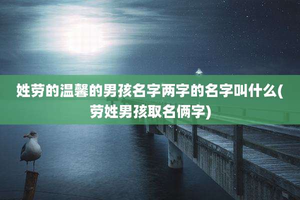 姓劳的温馨的男孩名字两字的名字叫什么(劳姓男孩取名俩字)