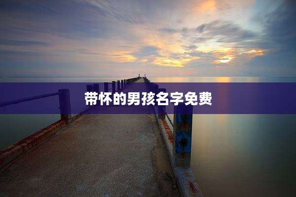 带怀的男孩名字免费