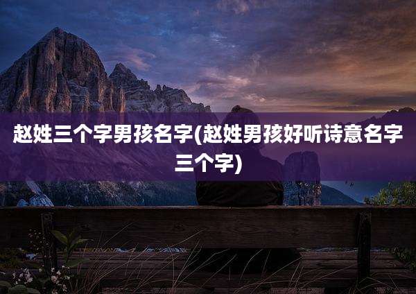 赵姓三个字男孩名字(赵姓男孩好听诗意名字三个字)