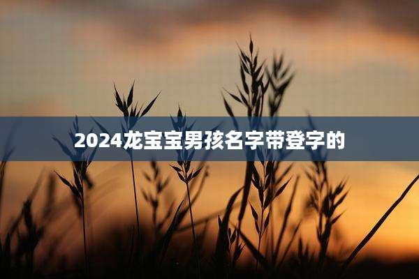 2024龙宝宝男孩名字带登字的
