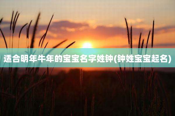 适合明年牛年的宝宝名字姓钟(钟姓宝宝起名)