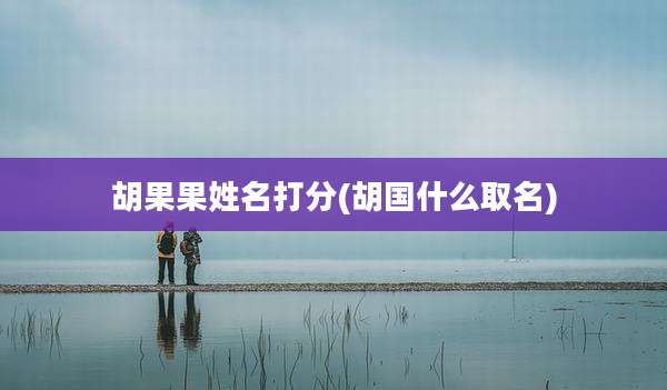 胡果果姓名打分(胡国什么取名)