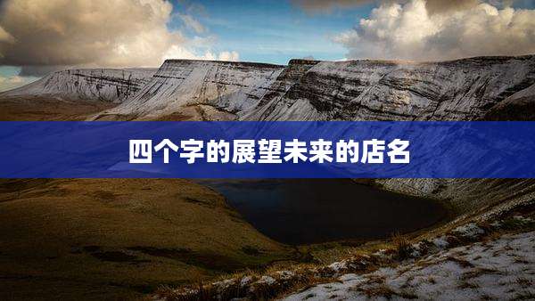 四个字的展望未来的店名