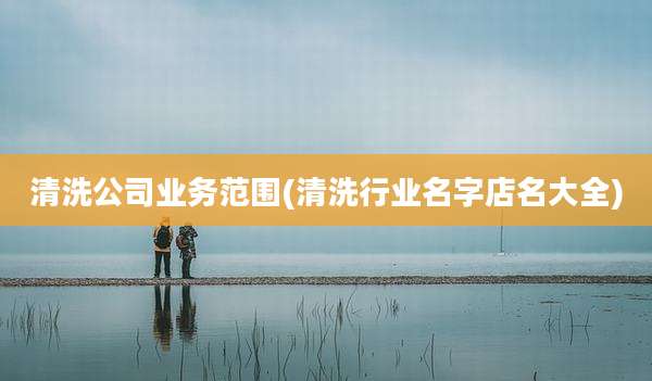 清洗公司业务范围(清洗行业名字店名大全)