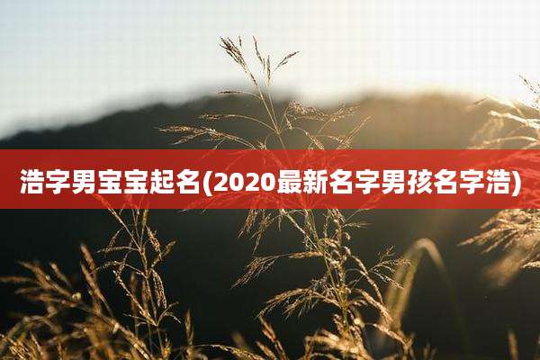 浩字男宝宝起名(2020最新名字男孩名字浩)