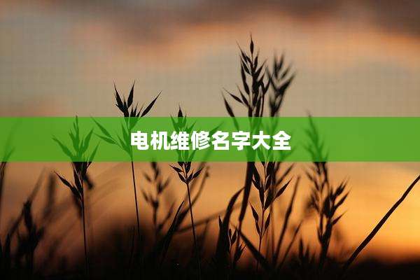 电机维修名字大全