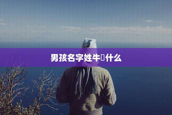 男孩名字姓牛莯什么