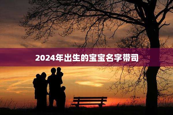 2024年出生的宝宝名字带司