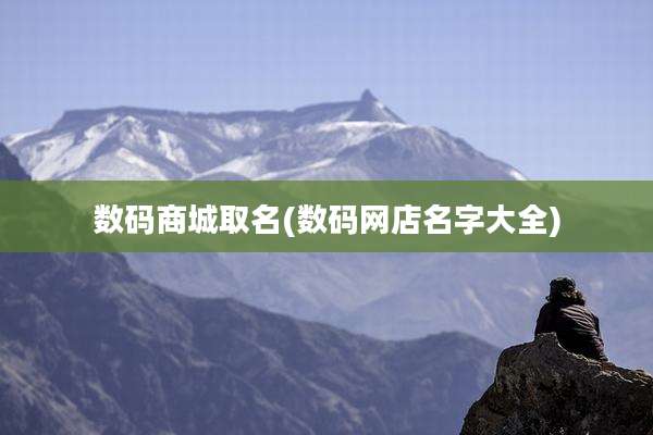数码商城取名(数码网店名字大全)