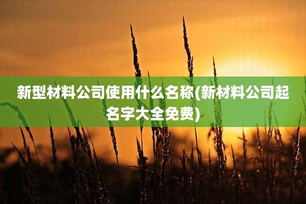 新型材料公司使用什么名称(新材料公司起名字大全免费)