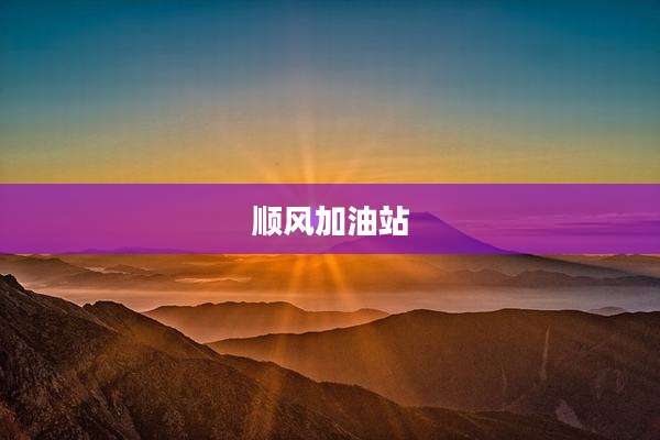 顺风加油站