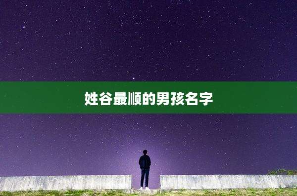 姓谷最顺的男孩名字