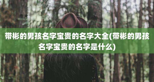带彬的男孩名字宝贵的名字大全(带彬的男孩名字宝贵的名字是什么)