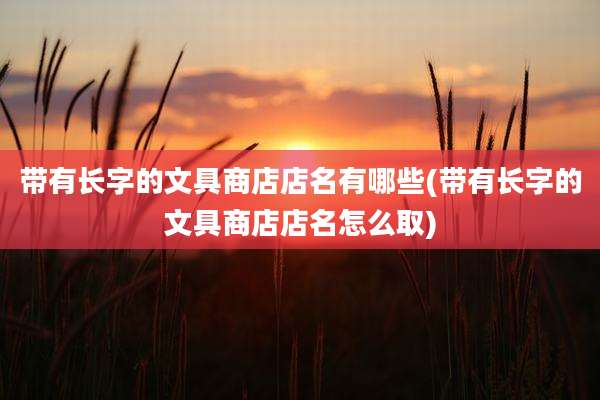 带有长字的文具商店店名有哪些(带有长字的文具商店店名怎么取)