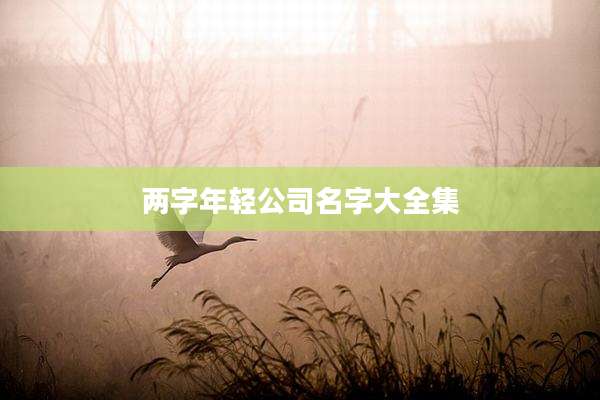 两字年轻公司名字大全集