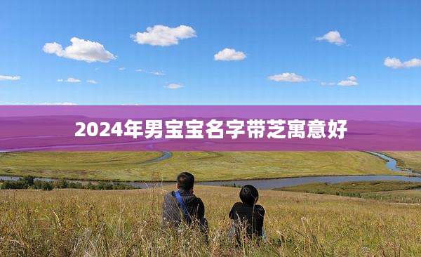 2024年男宝宝名字带芝寓意好
