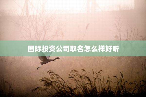 国际投资公司取名怎么样好听