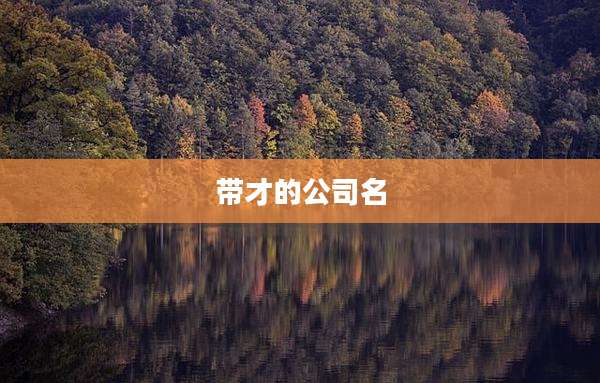 带才的公司名