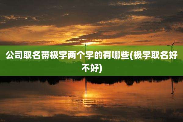 公司取名带极字两个字的有哪些(极字取名好不好)